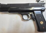 Webley & Scott Nemesis .22