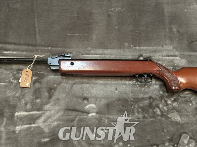 Diana G79 .22