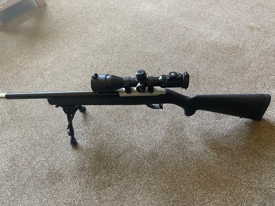 Ruger 10/22 Target Semi-Auto .22 Rifle