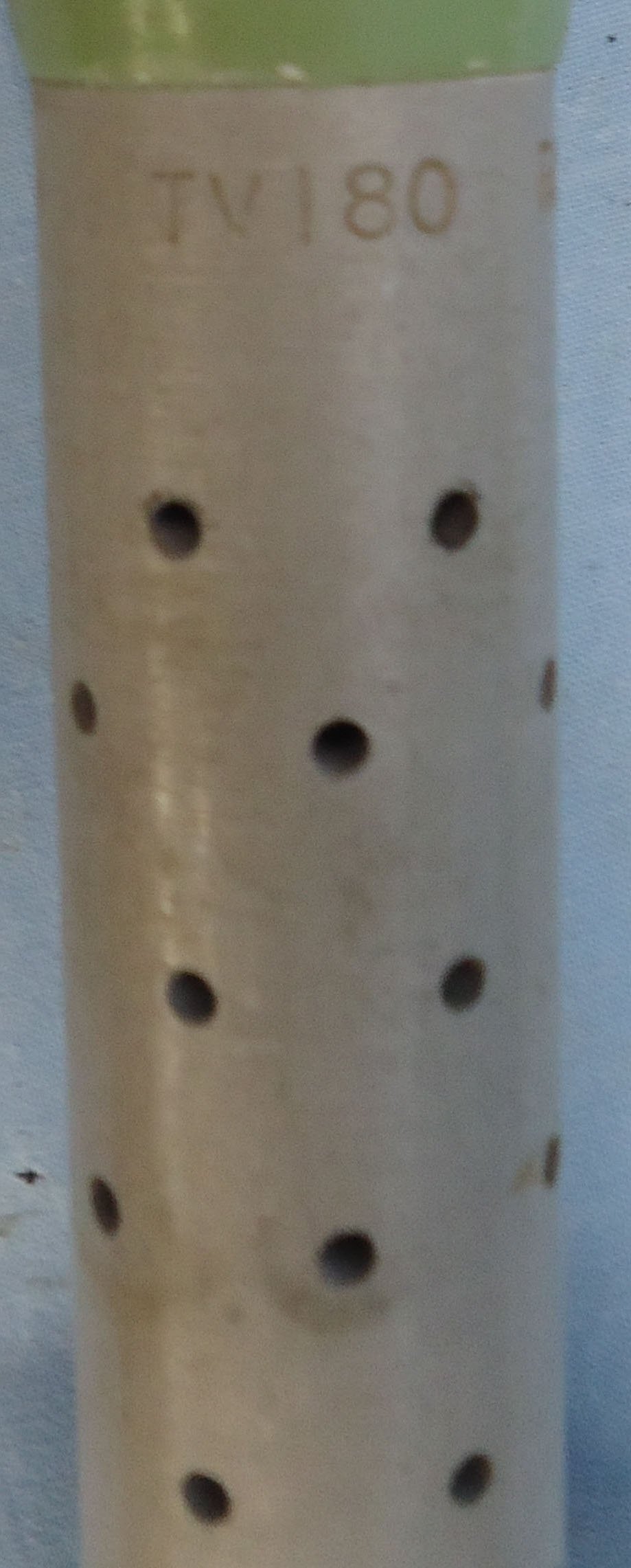 INERT DEACTIVATED. Original, 1998 Dated, Armaco 81MM Smoke Mortar. - O 2231 INERT DEACTIVATED. Original, 1998 Dated, Armaco 81MM Smoke Mortar. - O 2231  Other Ammunition 