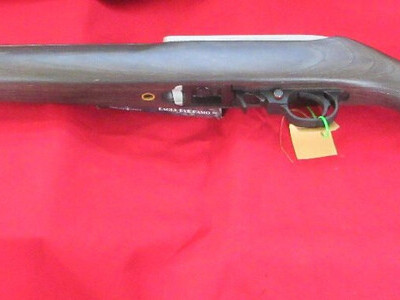 Ruger 10/22 Stainless Target Semi-Auto .22 Long Rifle (.22 LR) Rifle