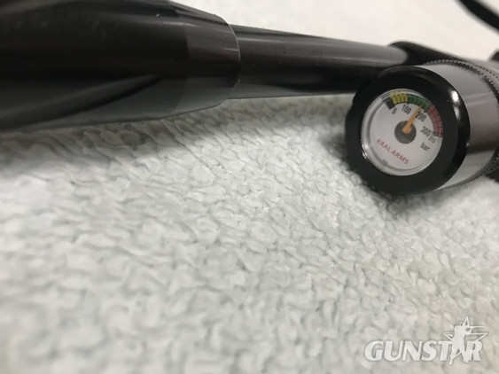 Kral Puncher NP-02 .22 