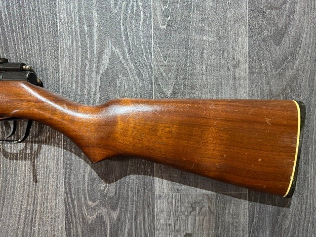 Sheridan Blue Streak .20 
