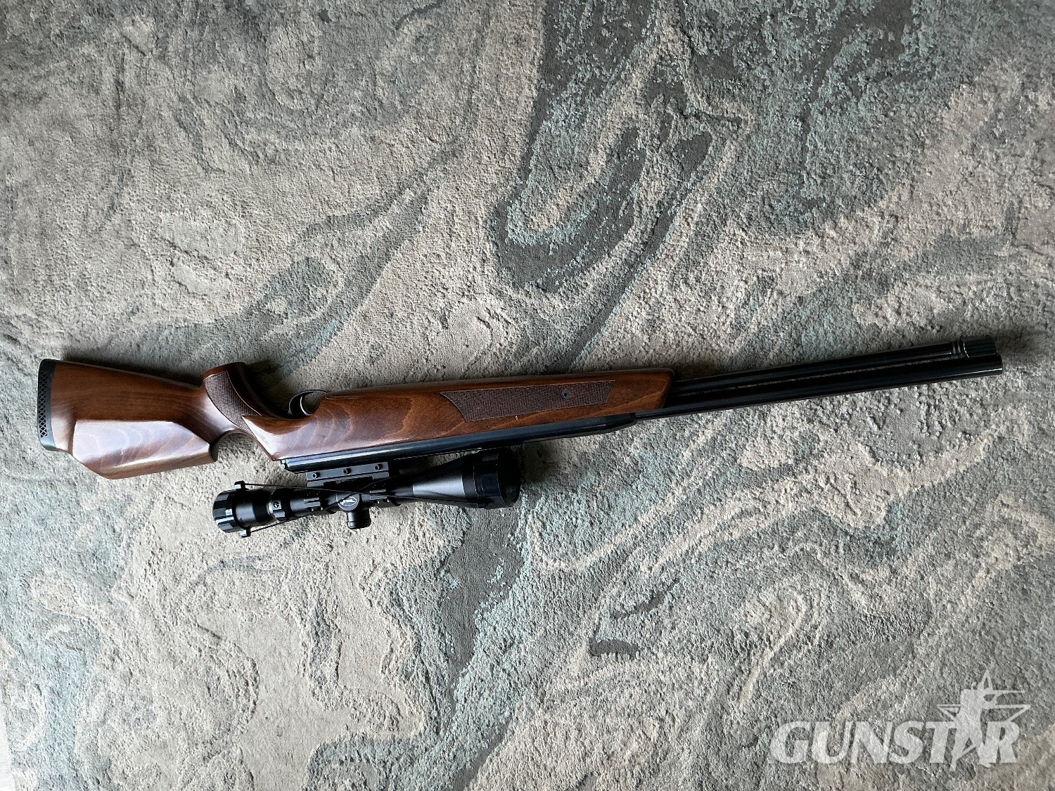 Air Arms TX200 .22