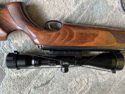 Air Arms TX200 .22
