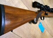 Ruger M77 / 22 Bolt Action .22 Long Rifle (.22 LR) Rifle