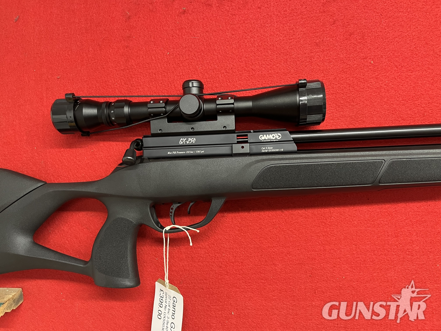 Gamo GX-250 .22