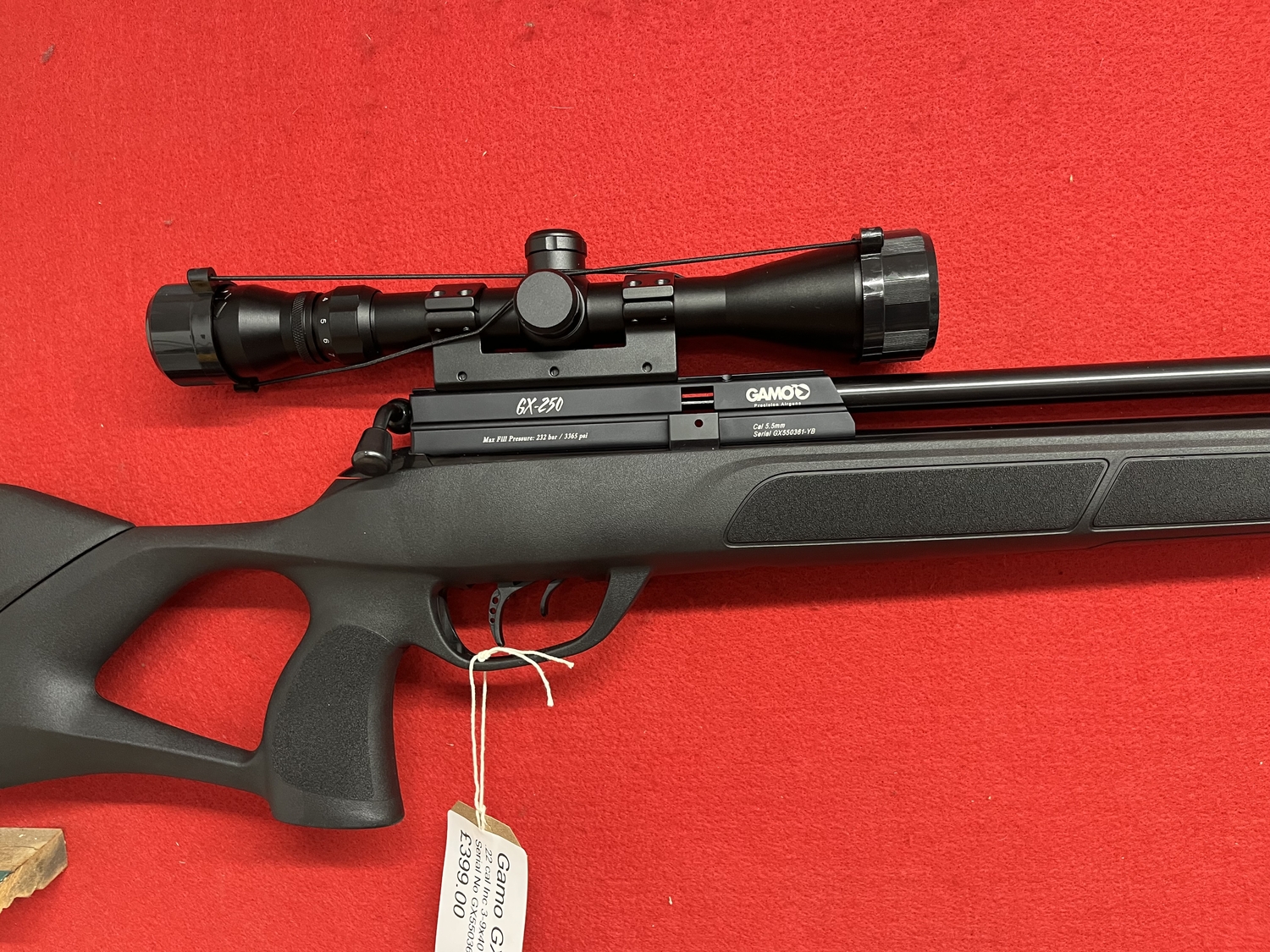 Gamo GX-250 .22