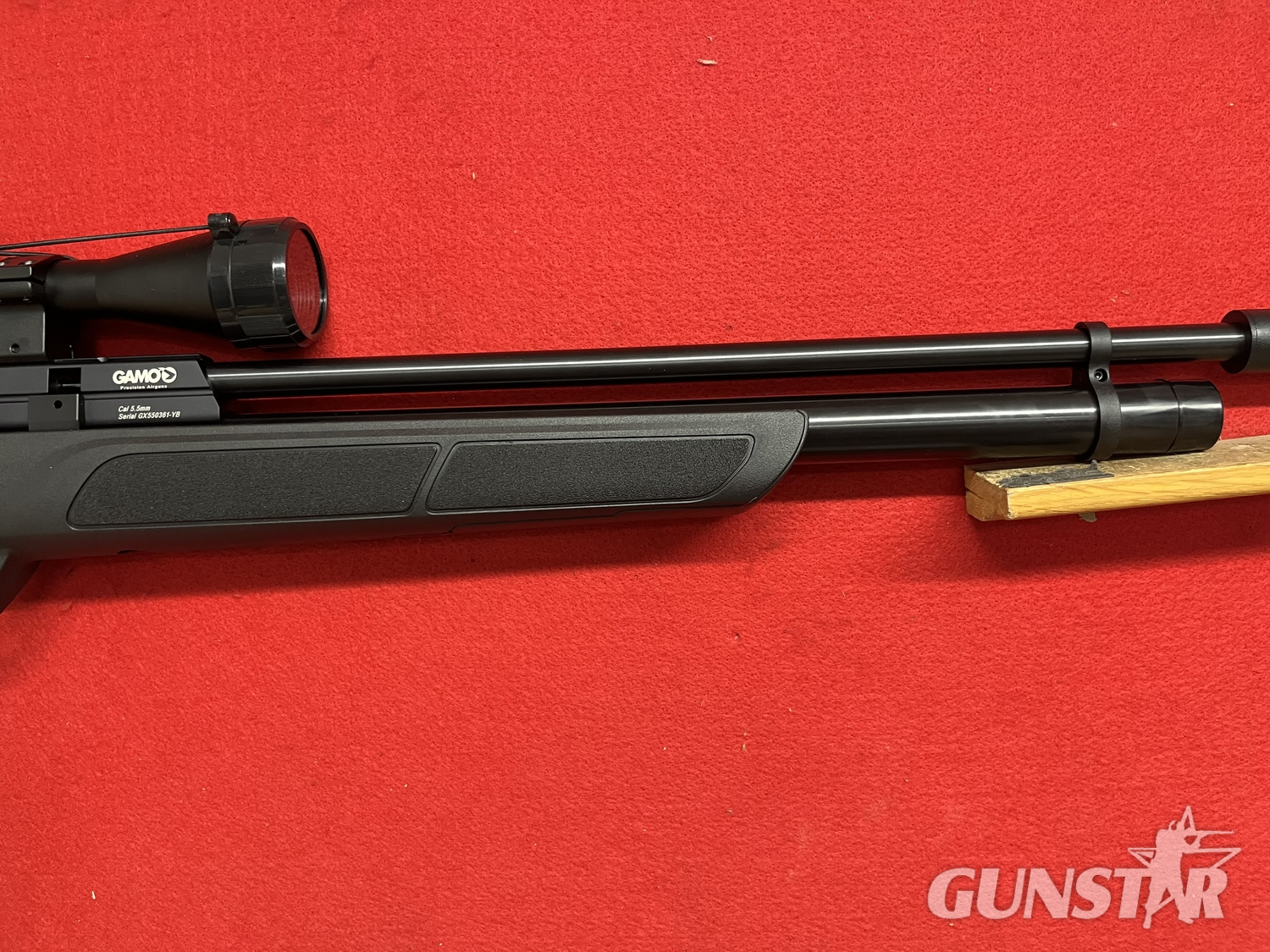  Gamo GX-250 .22