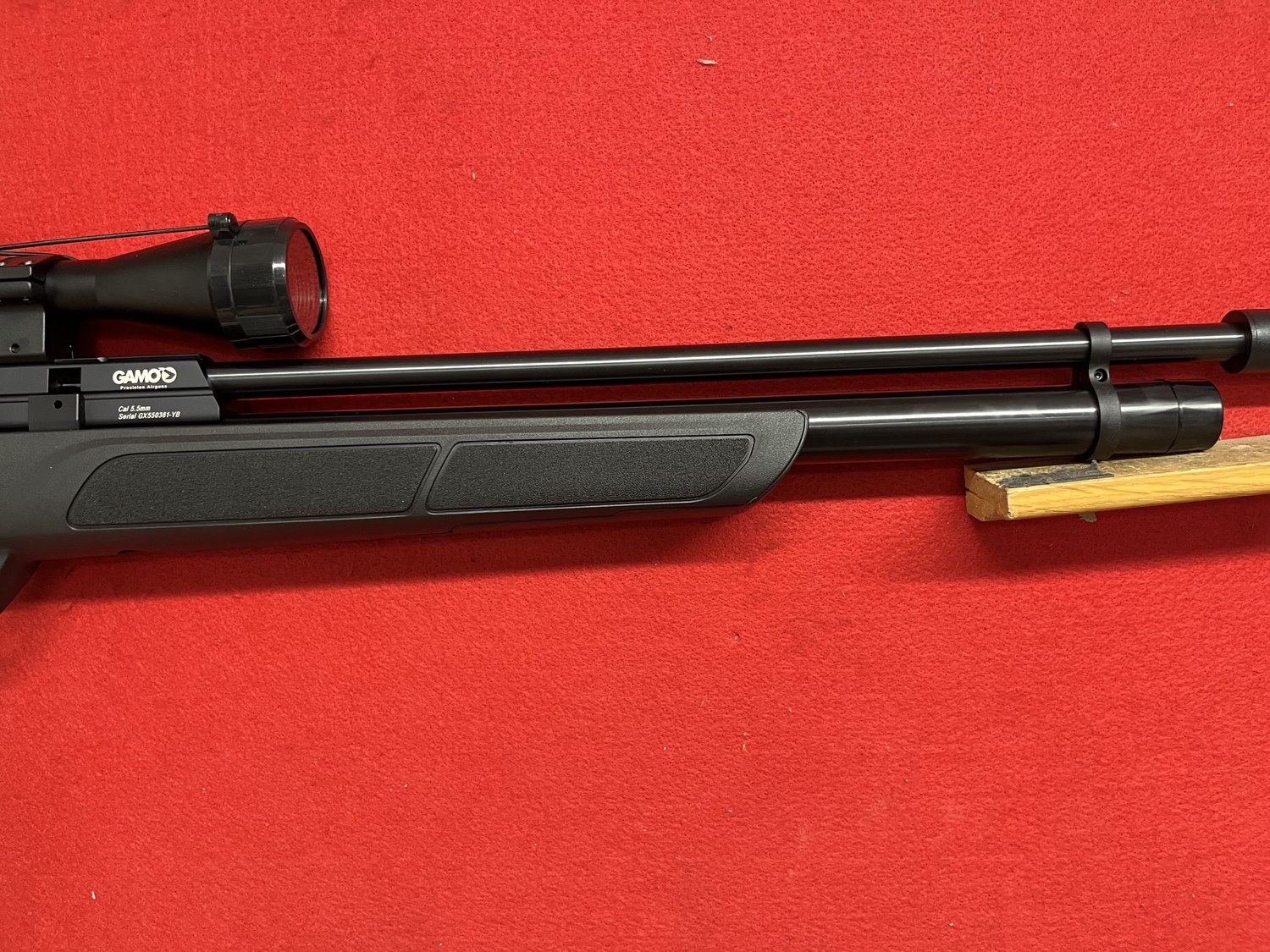  Gamo GX-250 .22