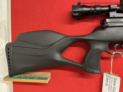 Gamo GX-250 .22