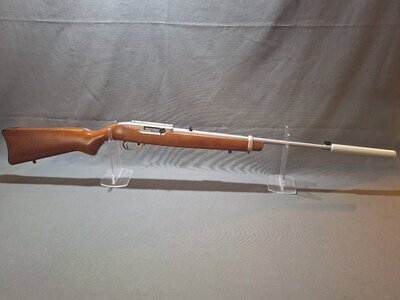 Ruger 10/22 Semi-Auto .22 Rifle