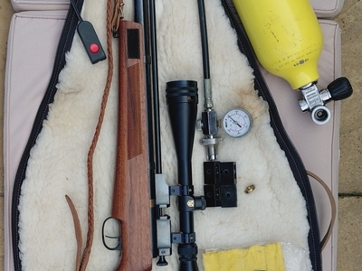 Falcon Airguns Fn19w .22