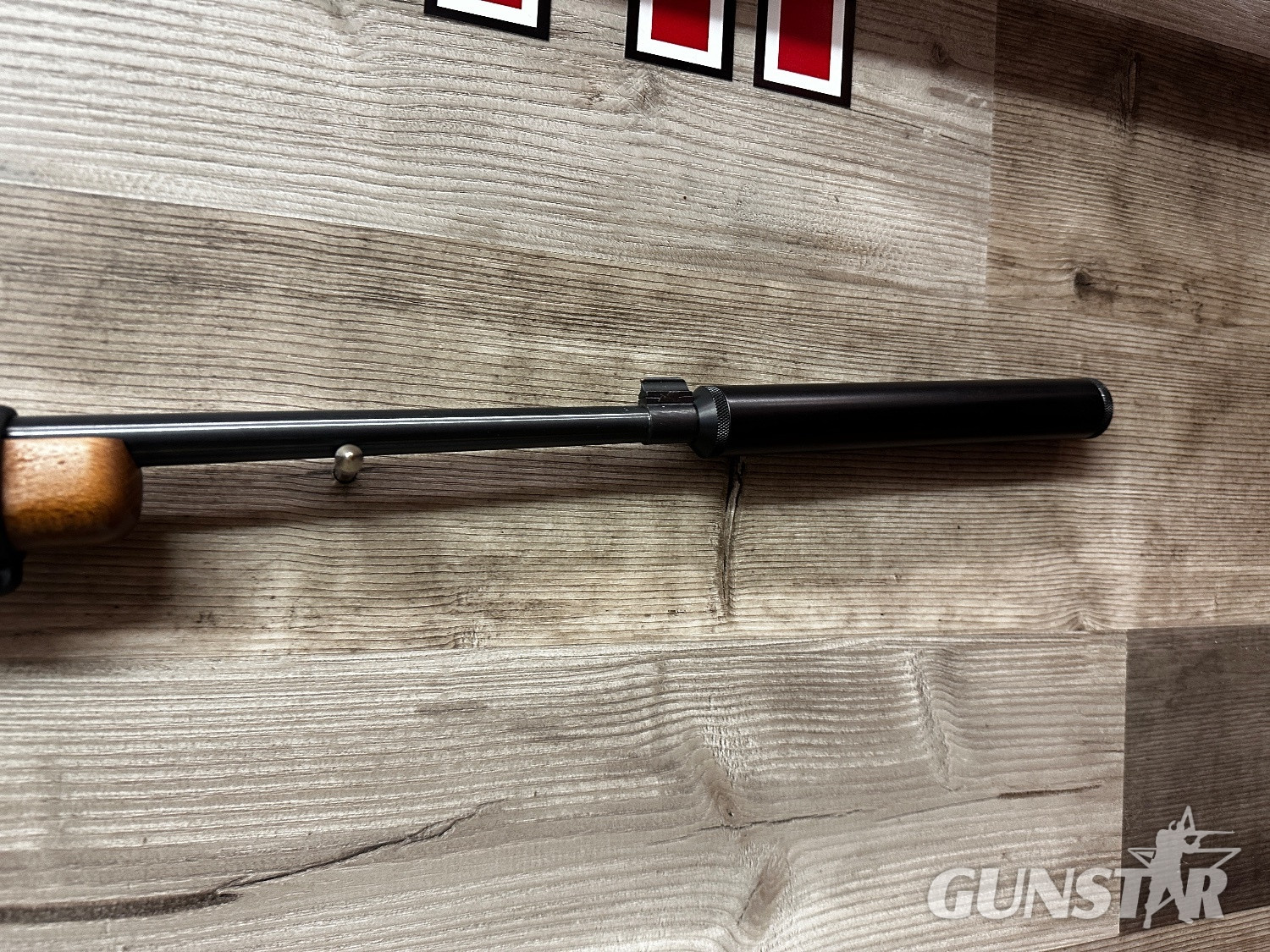 Ruger 10/22 Semi-Auto .22 RF Rifle - {CATEGORY} in 