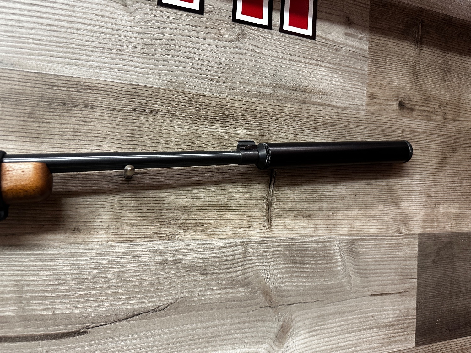 Ruger 10/22 Semi-Auto .22 RF Rifle - {CATEGORY} in 