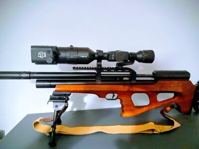 FX Airguns Wildcat MK2 .22