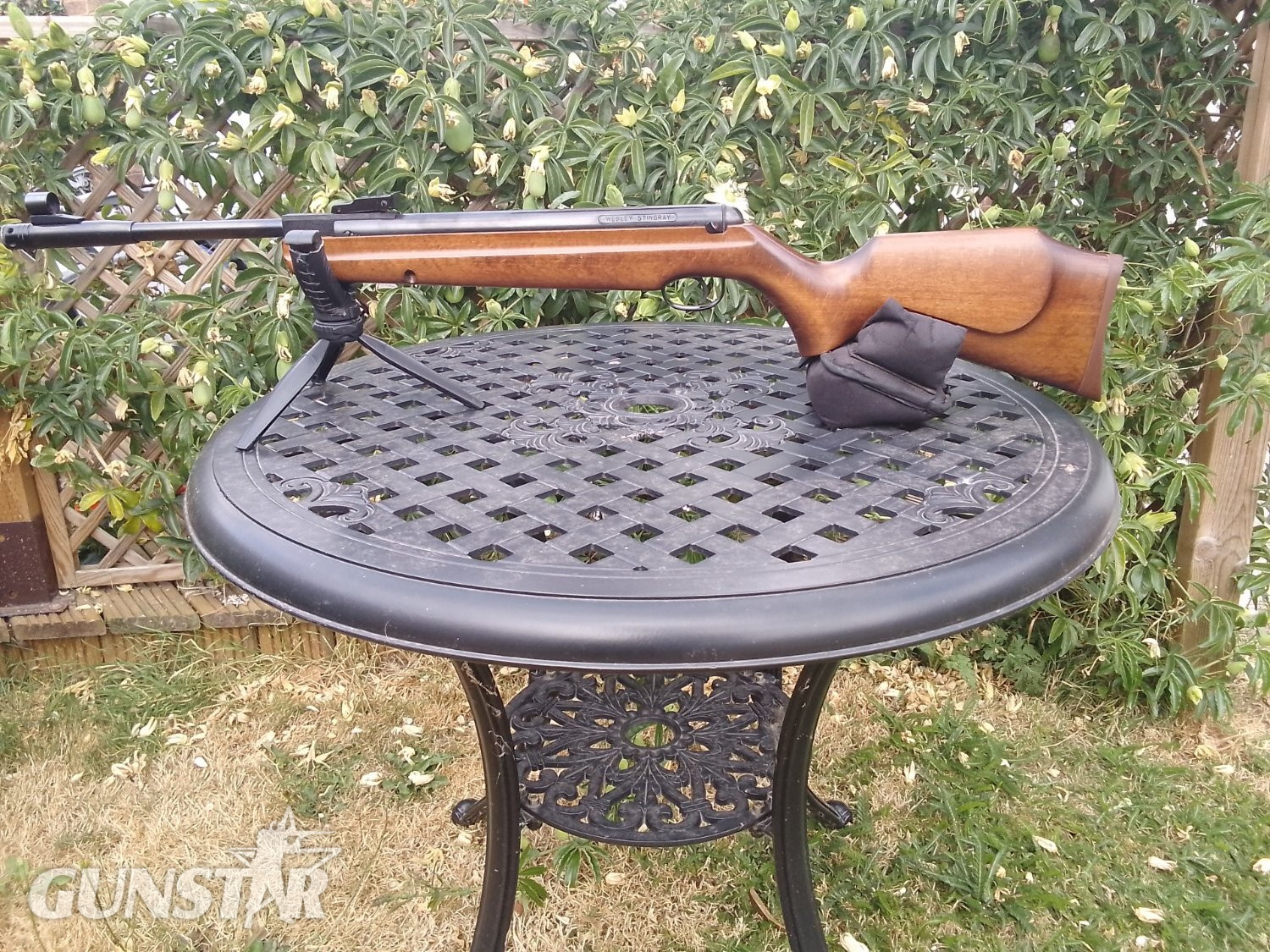 Webley & Scott Stingray/Birmingham .22 in 