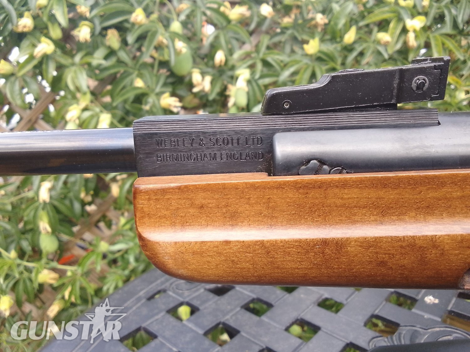  Webley & Scott Stingray/Birmingham .22