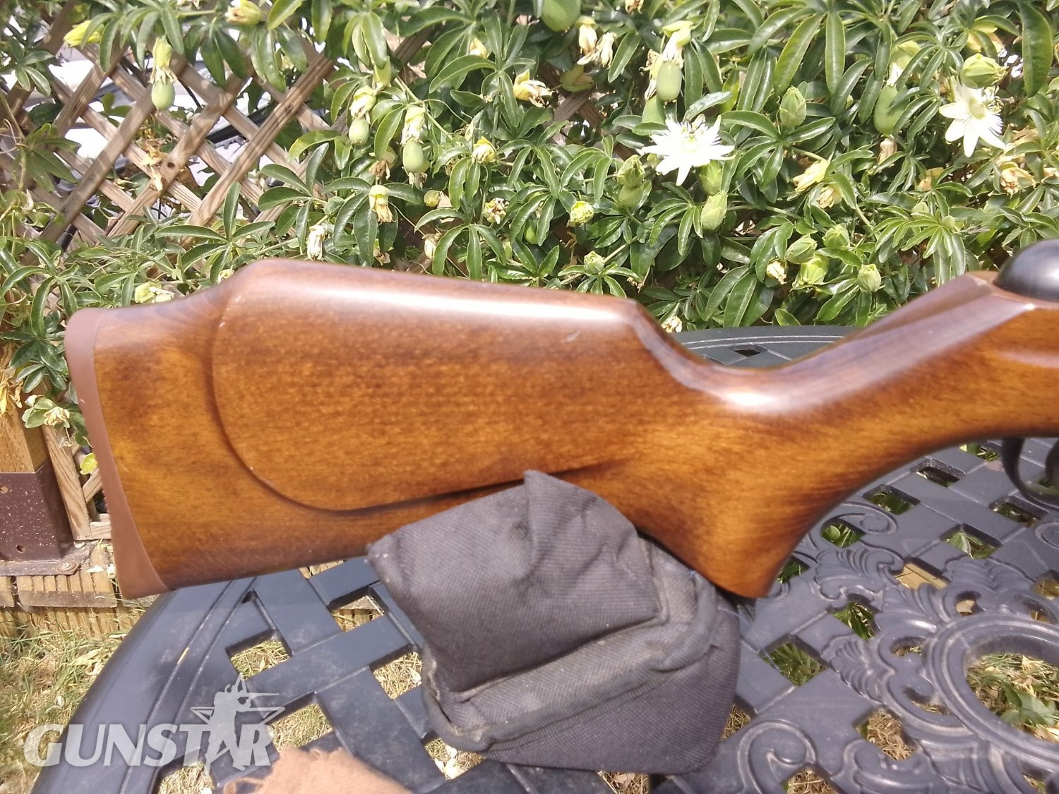 Webley & Scott Stingray/Birmingham .22 - {CATEGORY} in 