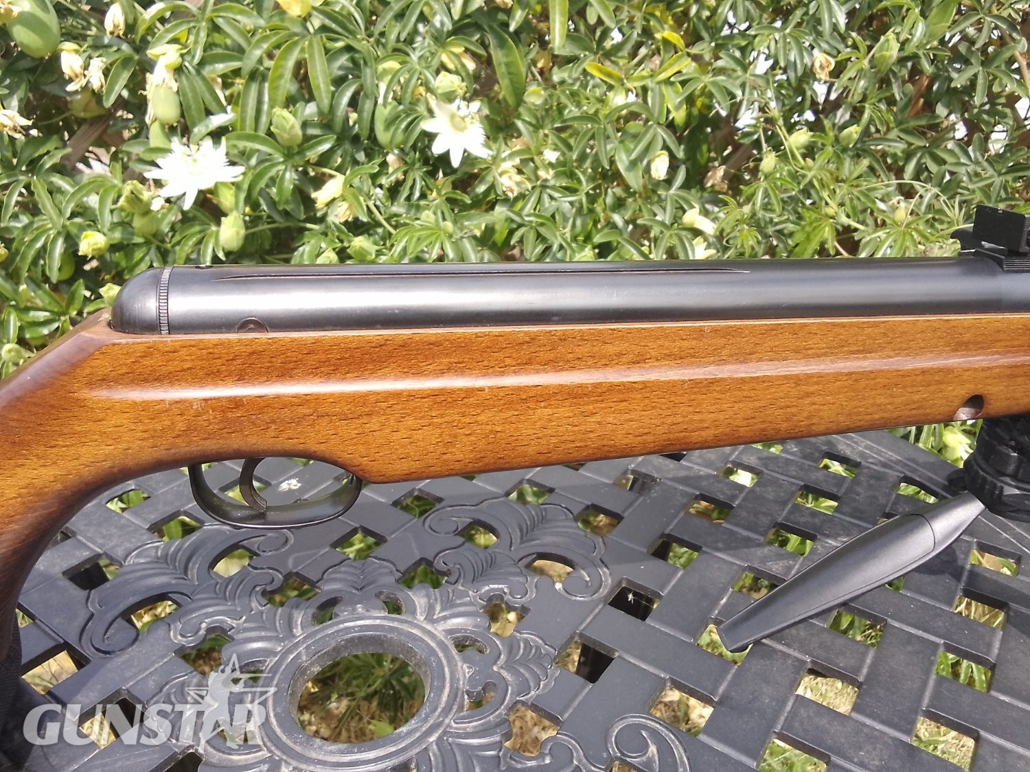 Webley & Scott Stingray/Birmingham .22 