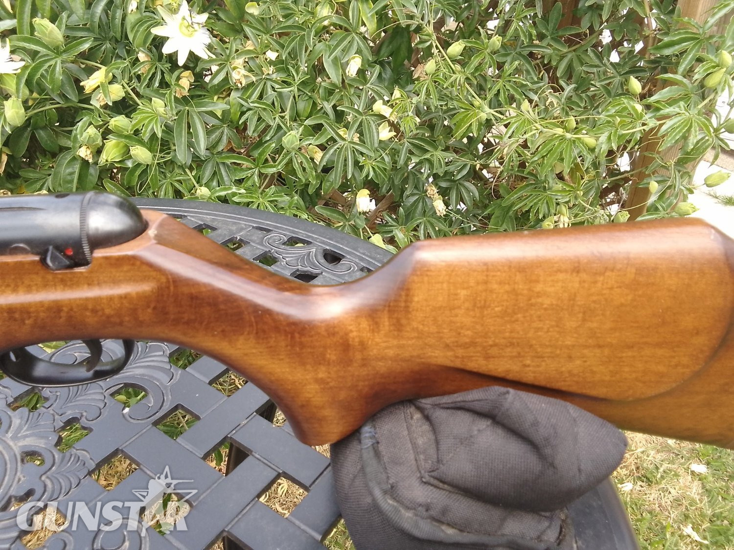 {CATEGORY} - Webley & Scott Stingray/Birmingham .22 in 