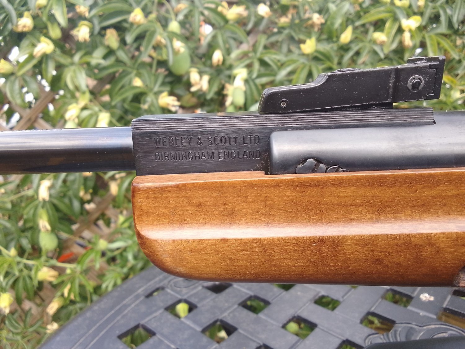  Webley & Scott Stingray/Birmingham .22