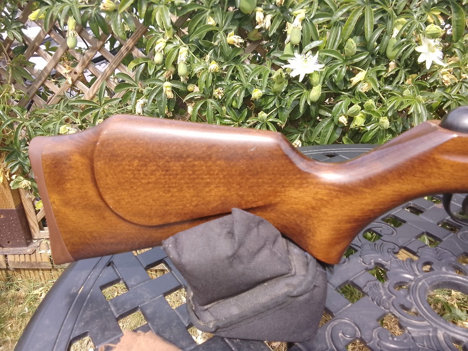 Webley & Scott Stingray/Birmingham .22 - {CATEGORY} in 