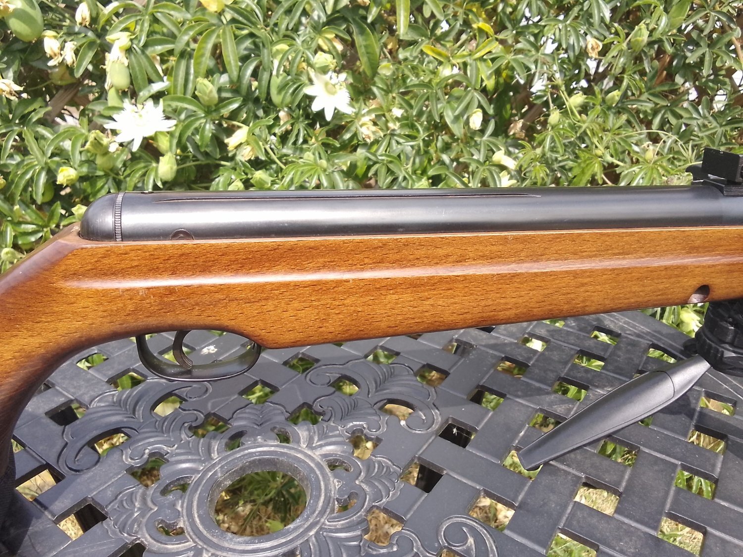Webley & Scott Stingray/Birmingham .22 