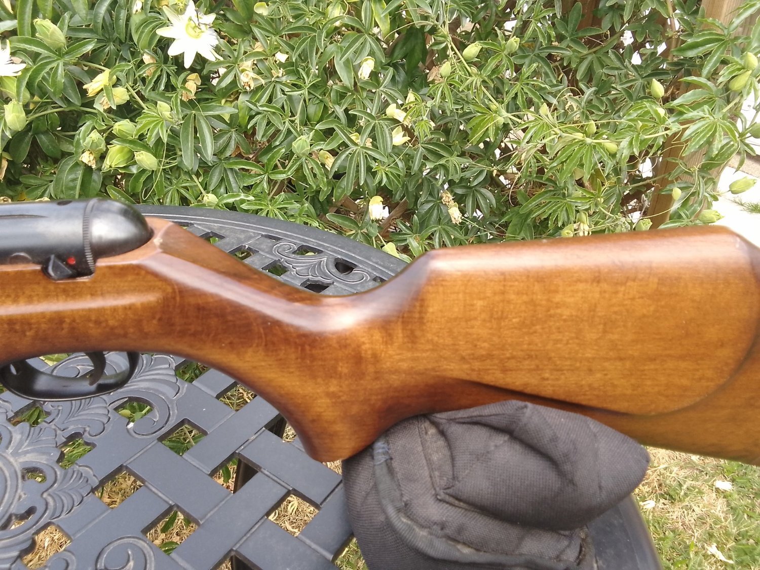 {CATEGORY} - Webley & Scott Stingray/Birmingham .22 in 