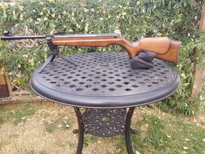 Webley & Scott Stingray/Birmingham .22
