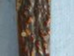 Knive