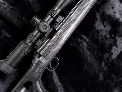 CZ 455 17 hmr 455 Bolt Action .17 Hornady Magnum Rimfire (.17 HMR) Rifle