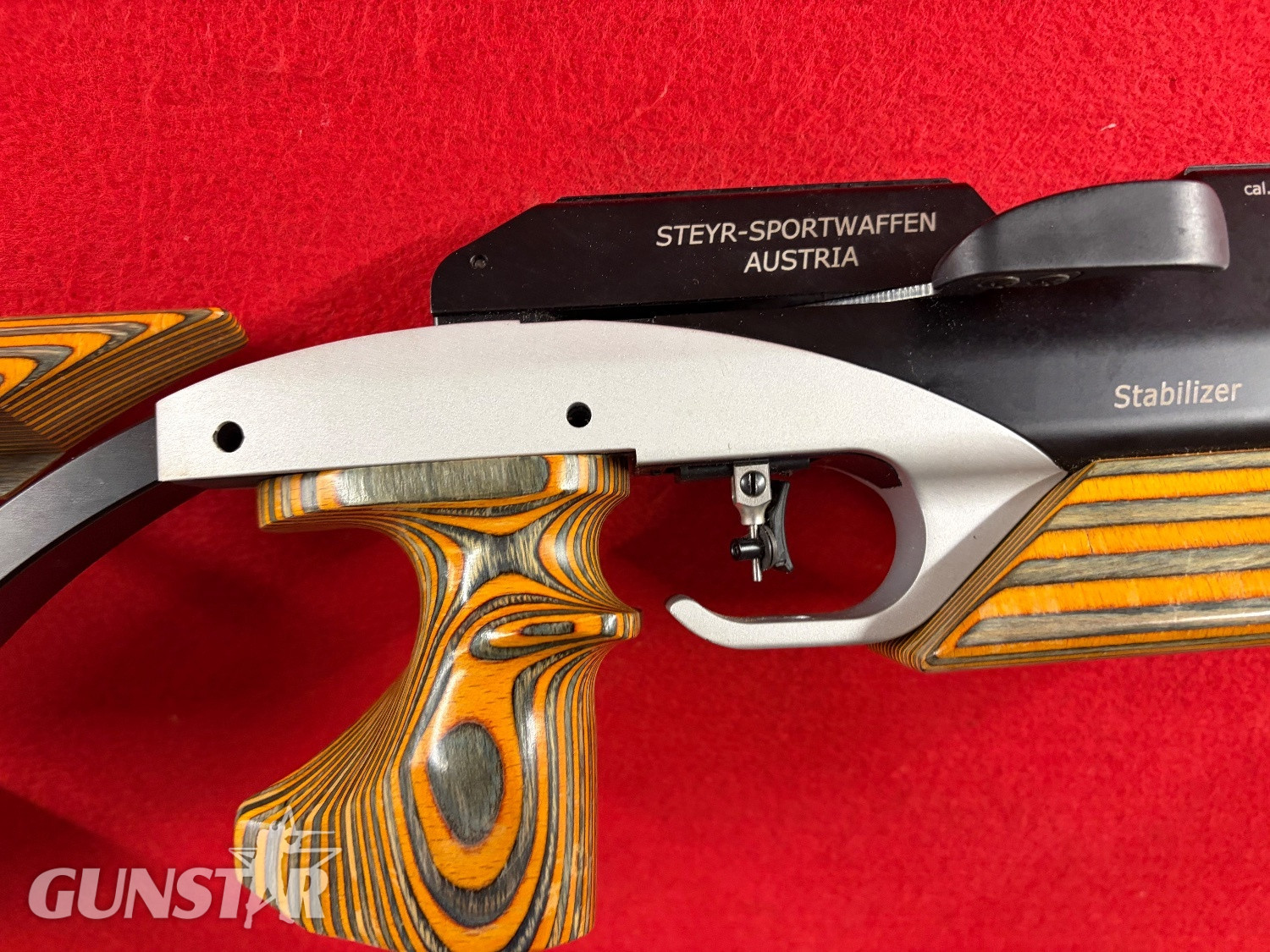 Steyr LG100 .177