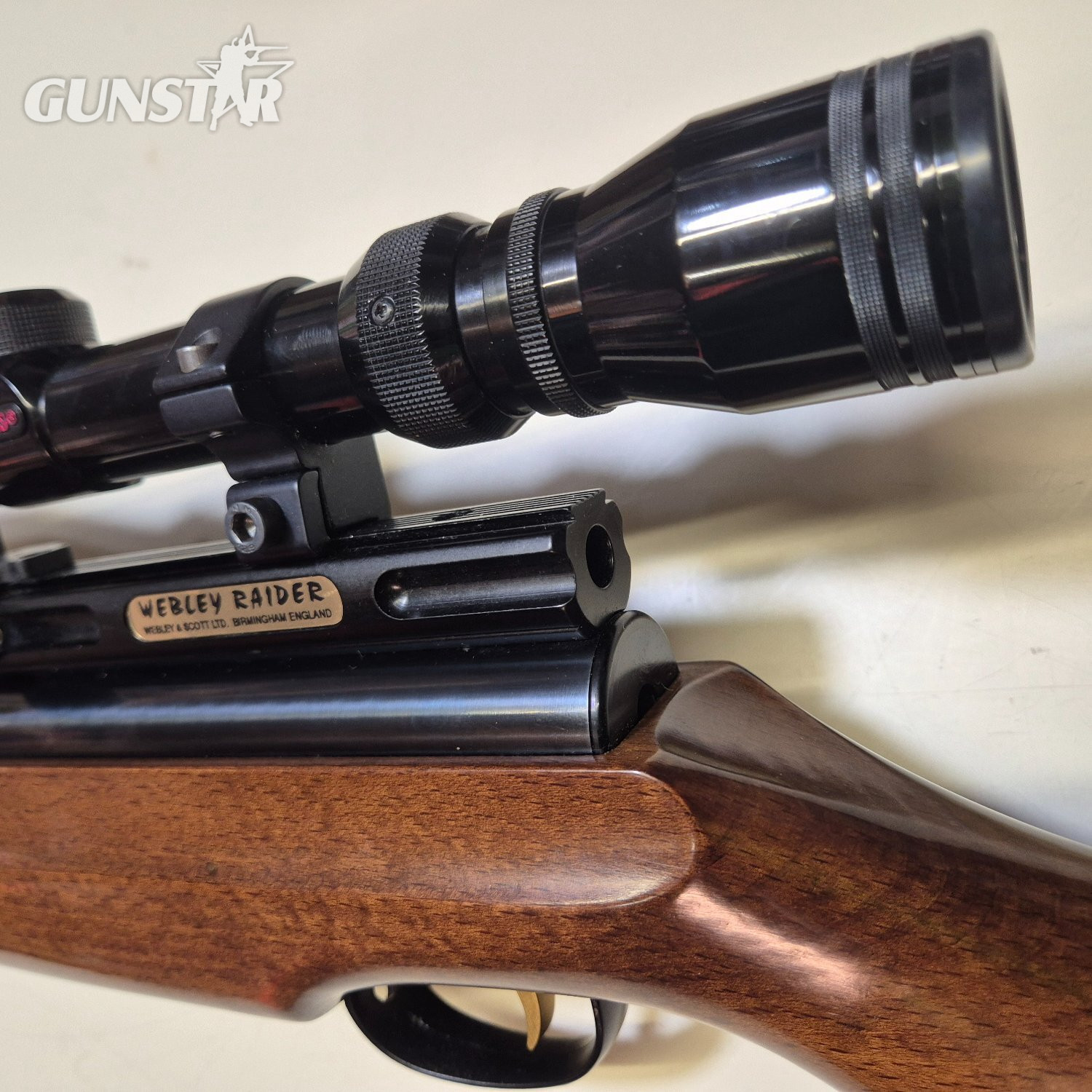 Webley & Scott Raider PCP TWIN SHOT .22 