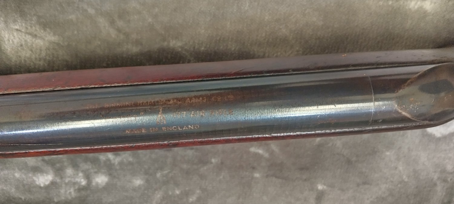  BSA Cadet .22