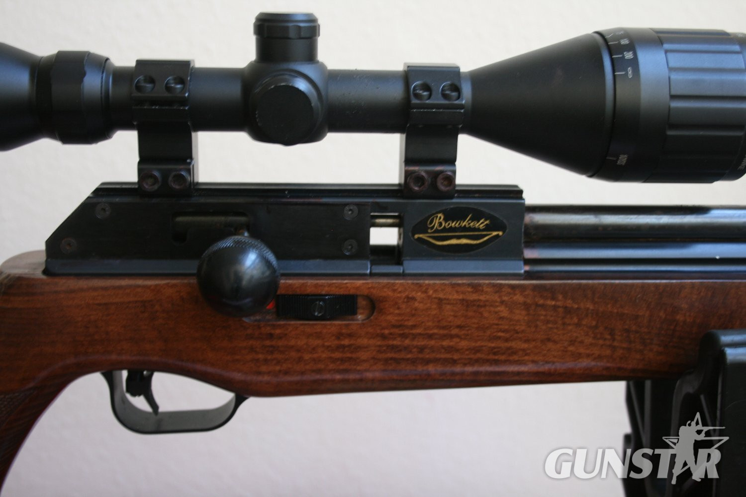 BSA Super 10 .22