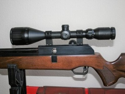 BSA Super 10 .22