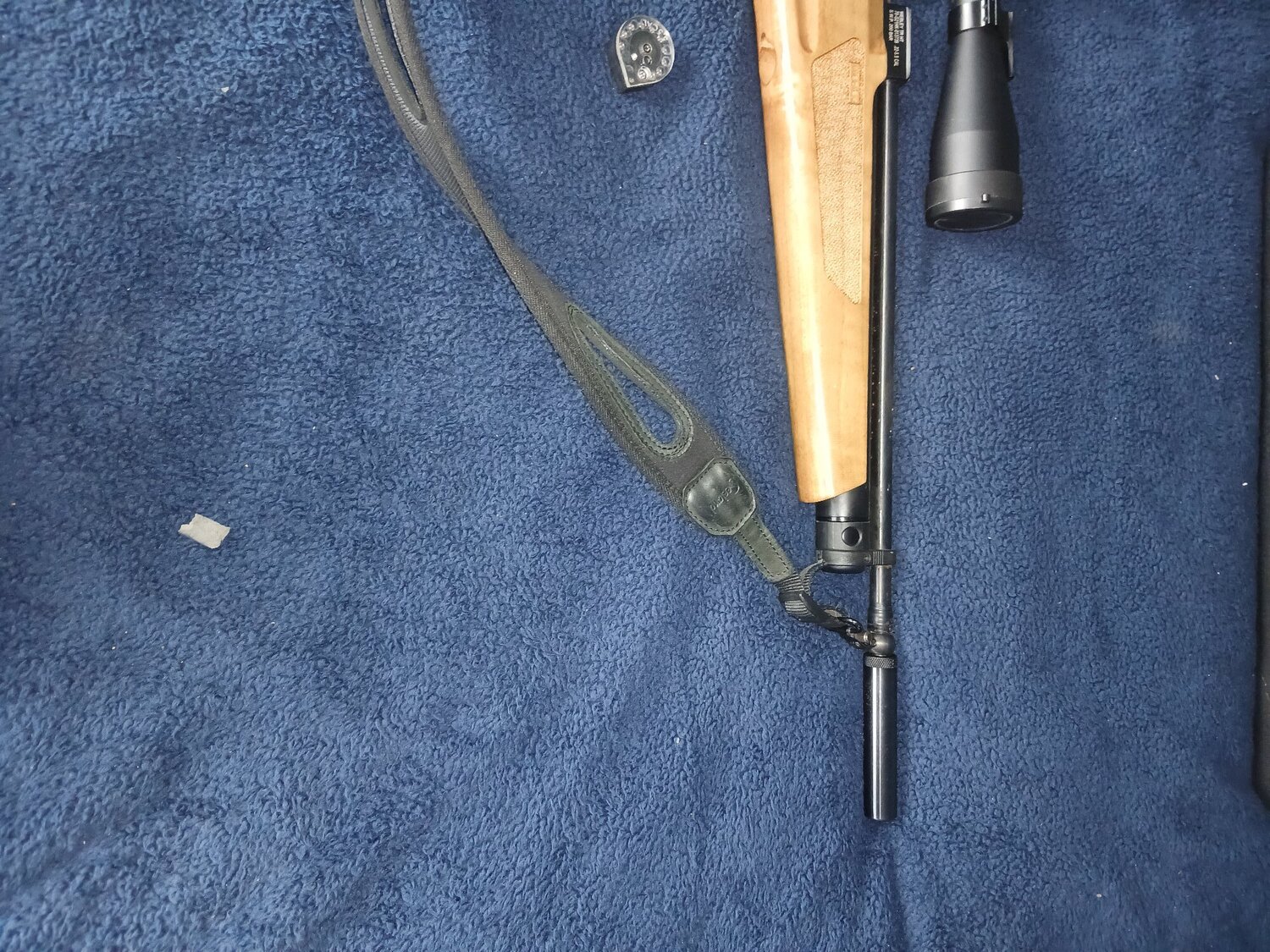 Webley & Scott Raider .22