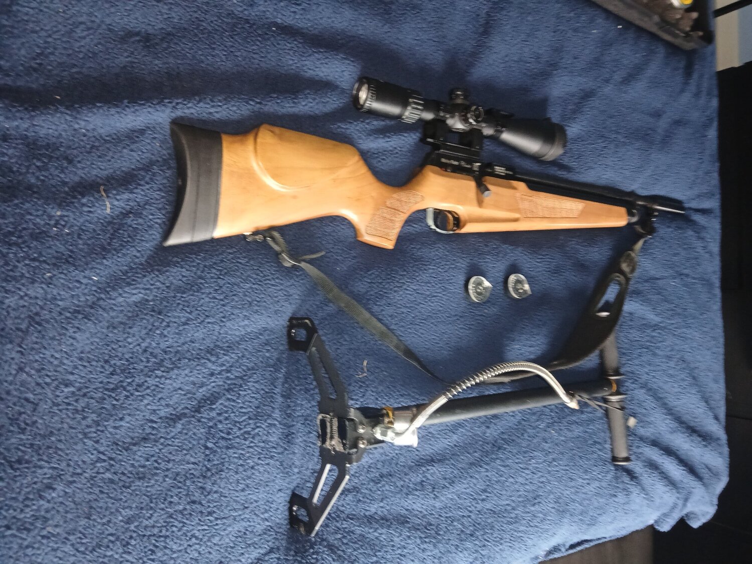 Webley & Scott Raider .22 - {CATEGORY}