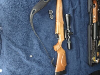Webley & Scott Raider .22