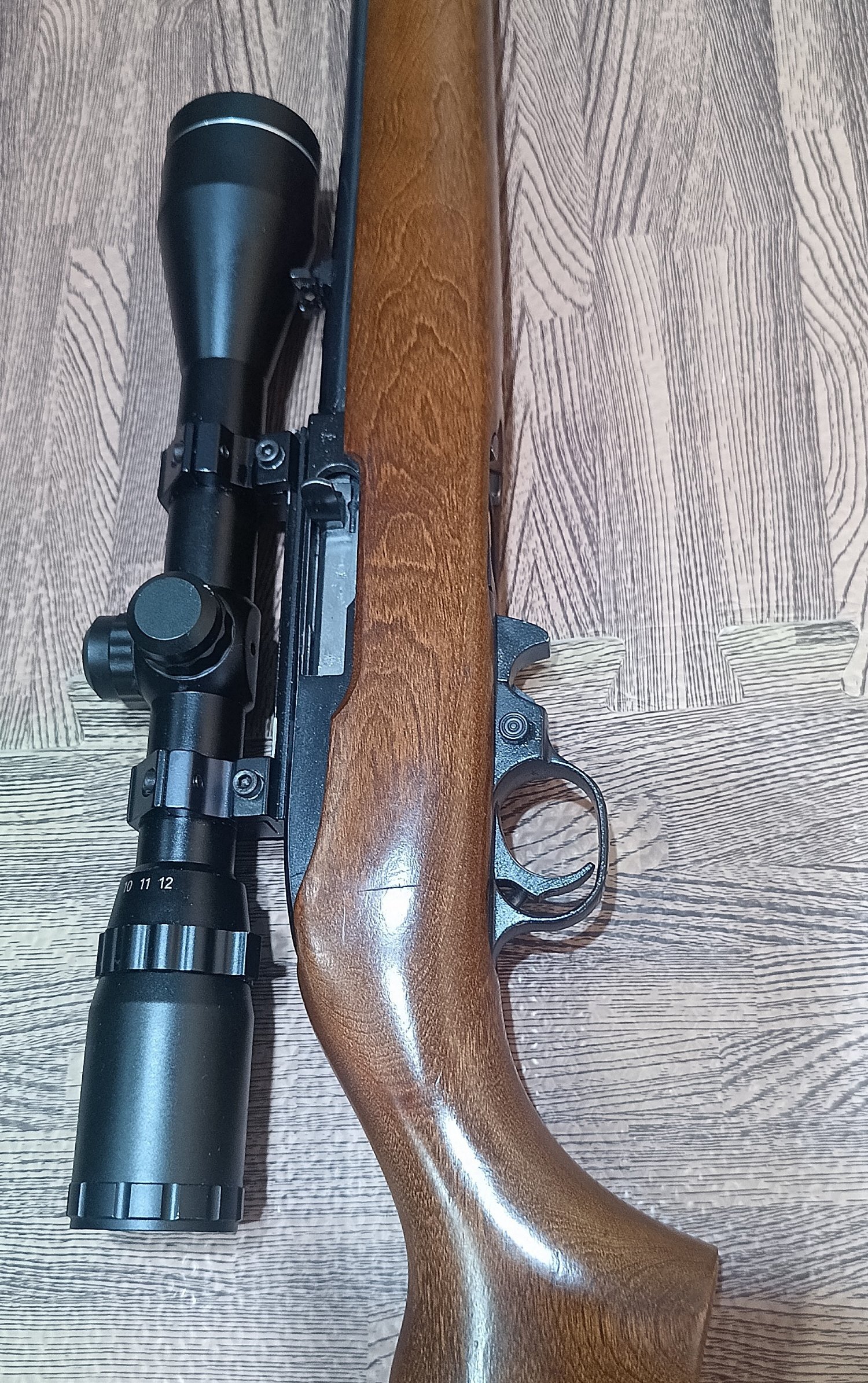 Ruger 10/22 Semi-Auto .22 Long Rifle (.22 LR) Rifle