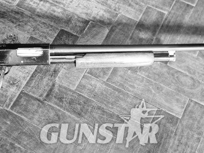 Mossberg Goose Pump Action 12 Bore/gauge