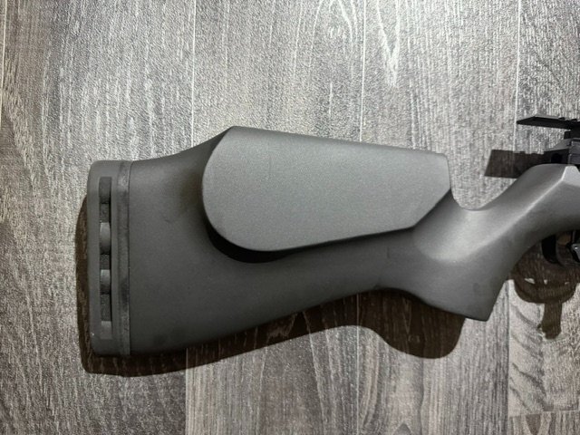 FX Airguns DRS .22