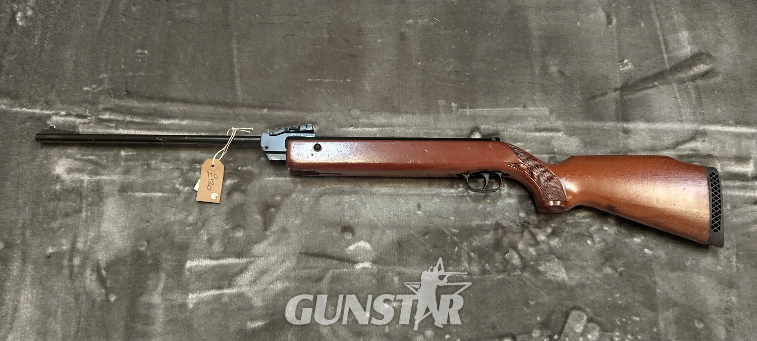 Diana G79 .22 in 