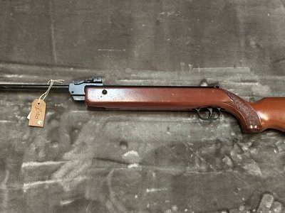 Diana G79 .22