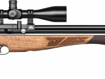 Air Arms S510 Walnut .22