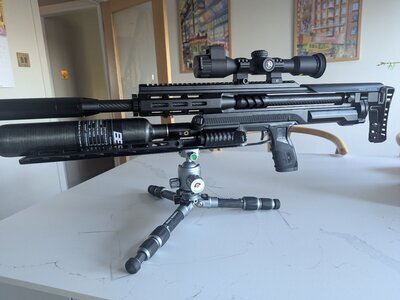 SKOUT Evo .22