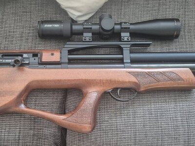 Gamo Gamo boxer .22