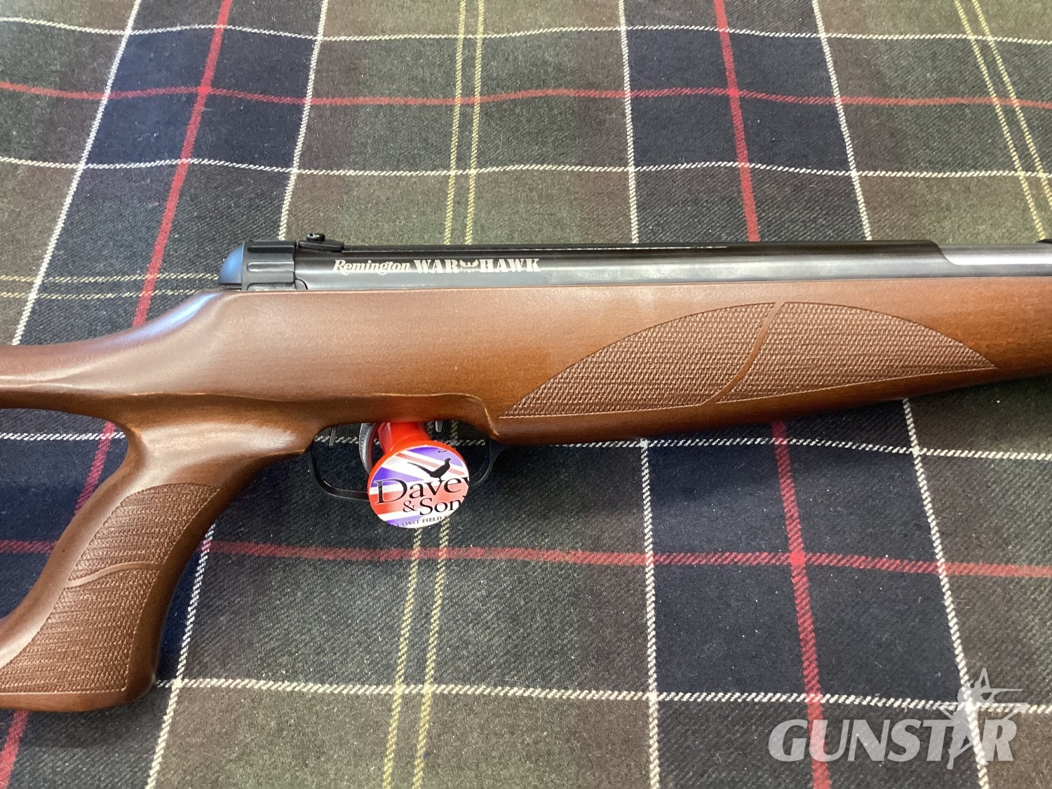 Remington Warhawk .22