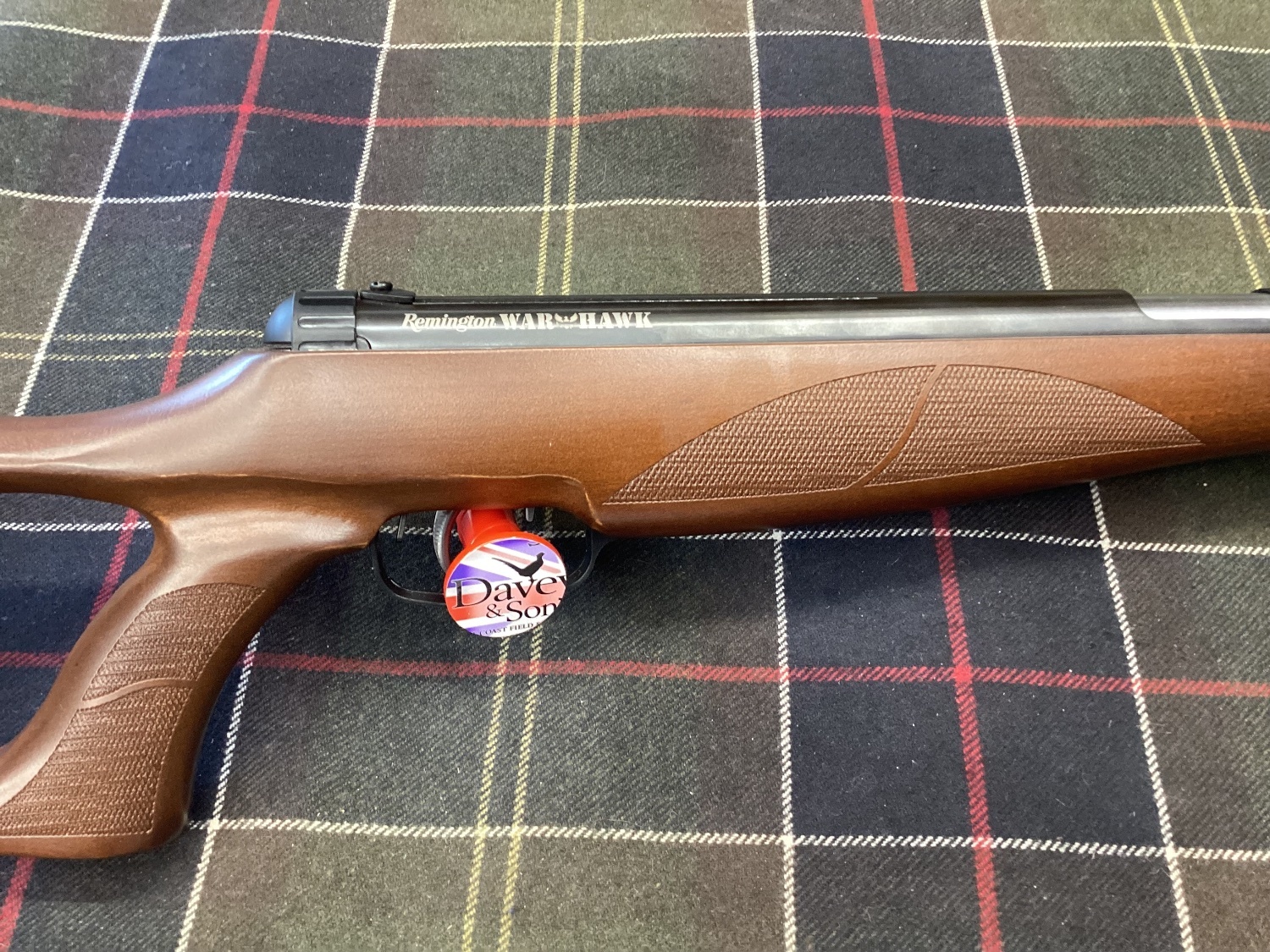 Remington Warhawk .22
